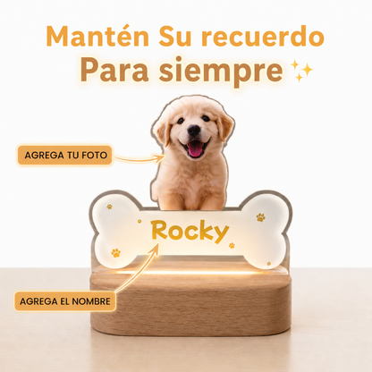 Cuadro Eterno🐾
