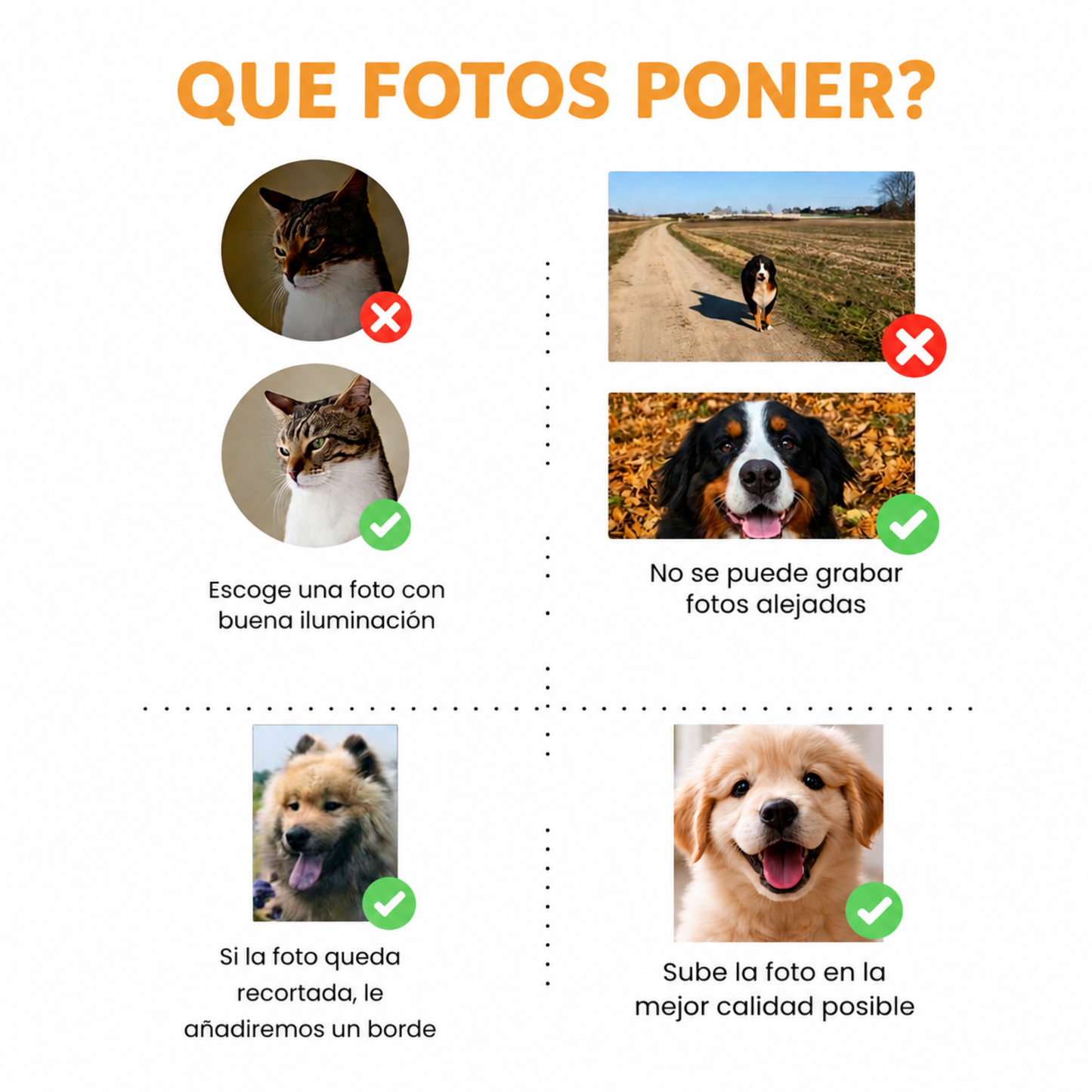 Cuadro Eterno🐾